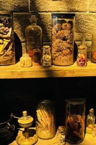 Photo 3 from Harry Potter™: La Exposición