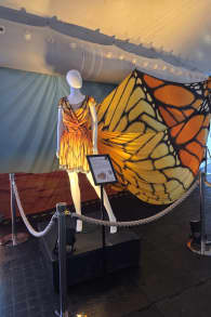 Photo 15 from Cirque du Soleil 2026: LUZIA in Oaks