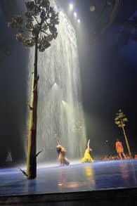 Photo 16 from Cirque du Soleil 2026: LUZIA in Oaks