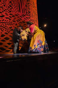 Photo 17 from Cirque du Soleil 2026: LUZIA in Oaks
