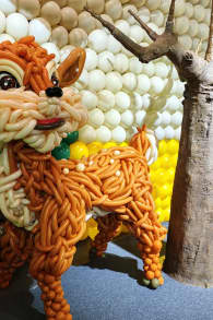 Photo 6 from Balloon Story Barcelona