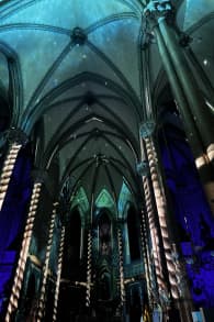 Photo 2 from Eonarium Genesis Rio de Janeiro: Un espectáculo inmersivo de luces