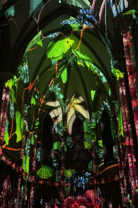 Photo 3 from Eonarium Genesis Rio de Janeiro: Un espectáculo inmersivo de luces