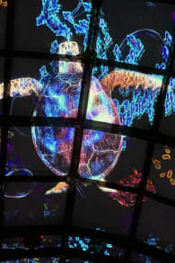 Photo 7 from Eonarium Genesis: An Immersive Light Show at Pilgrim Uniting Church