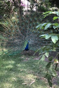 Photo 8 from Museo Dolores Olmedo