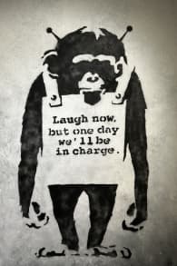 Photo 2 from Banksy Museum Amsterdam