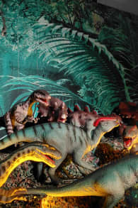 Photo 6 from Viven Dinosaurios Gualeguaychú