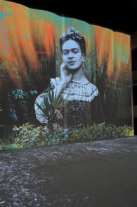 Photo 5 from Frida Kahlo – A Revolutionary Life