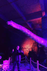 Photo 2 from Dinos Alive: Uma Experiência Imersiva - Curitiba