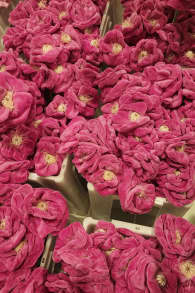Photo 11 from Cj Hendry's Flower Market
