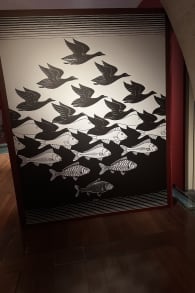 Photo 7 from M. C. Escher - The Exhibition