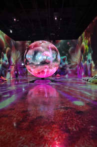 Photo 2 from 르 스페이스: ICE PLANET