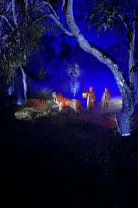 Photo 0 from Harry Potter: A Forbidden Forest Experience