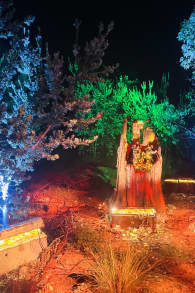 Photo 5 from Harry Potter: A Forbidden Forest Experience