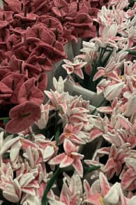Photo 4 from Cj Hendry's Flower Market Walk-in