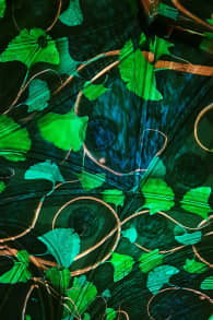 Photo 3 from Eonarium Genesis: Um espetáculo imersivo de luzes na Paróquia Imaculado Coração de Maria