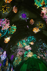 Photo 1 from Eonarium Genesis: Um espetáculo imersivo de luzes na Paróquia Imaculado Coração de Maria