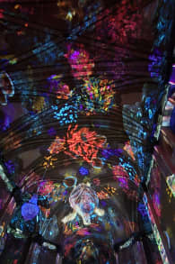 Photo 6 from Eonarium Genesis: Um espetáculo imersivo de luzes na Paróquia Imaculado Coração de Maria