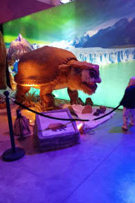 Photo 1 from Dino Aventura - Montevideo