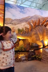 Photo 2 from Dino Aventura - Montevideo