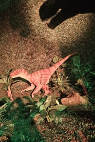 Photo 7 from Dinos Alive: Uma Experiência Imersiva - Curitiba