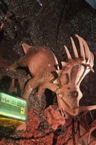 Photo 10 from Dinos Alive: Uma Experiência Imersiva - Curitiba