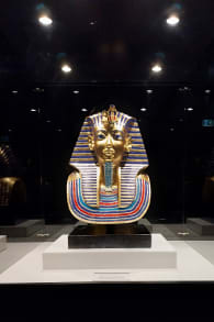 Photo 0 from Tutankhamun: The Immersive Exhibition