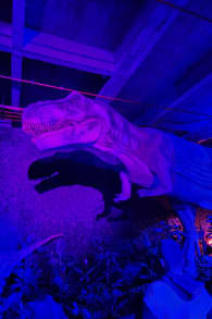 Photo 12 from Dinos Alive: Uma Experiência Imersiva - Curitiba