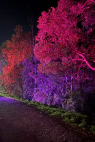 Photo 1 from Beyond: Every Path Leads Elsewhere