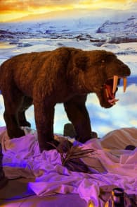 Photo 5 from Dino Aventura - Montevideo