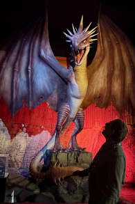 Photo 0 from Harry Potter™ : L’Exposition