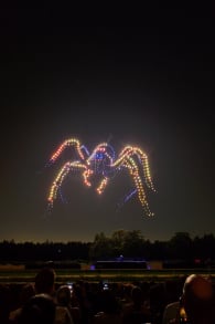 Photo 1 from DroneArt Show: Harry Potter™ at the Hippodrome de Parilly