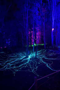 Photo 2 from Beyond: Every Path Leads Elsewhere