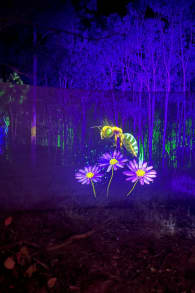 Photo 3 from Beyond: Every Path Leads Elsewhere