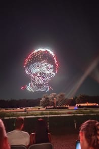 Photo 8 from DroneArt Show: Harry Potter™ at the Hippodrome de Parilly