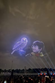 Photo 4 from DroneArt Show: Harry Potter™ at Ippodromo Snai di San Siro