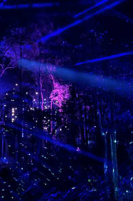 Photo 5 from Beyond: Every Path Leads Elsewhere