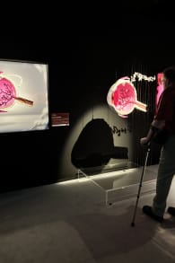 Photo 6 from The Art of the Brick : Exposition d'art en LEGO® à Nantes