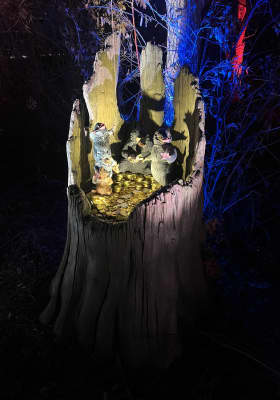 Photo 6 from Little Elm Park