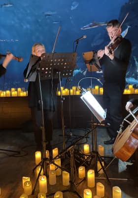 Photo 7 from National Marine Aquarium