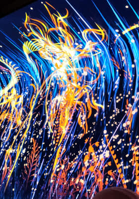 Photo 3 from Hangar Y