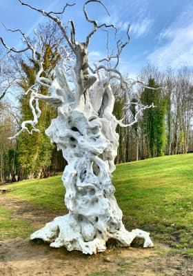 Photo 1 from Hangar Y