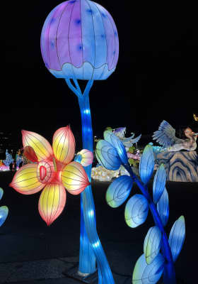 Photo 1 from Lerner Town Square at Tysons II