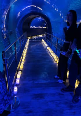 Photo 3 from Sea Life Melbourne Aquarium