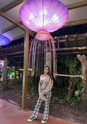 Photo 20 from Jungle Island