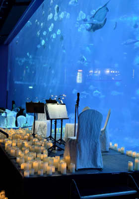 Photo 2 from S.E.A. Aquarium