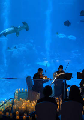 Photo 1 from S.E.A. Aquarium