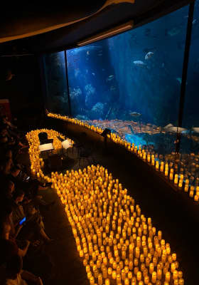 Photo 5 from National Marine Aquarium