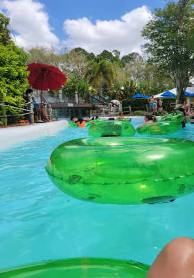 Photo 3 from Adventure Island