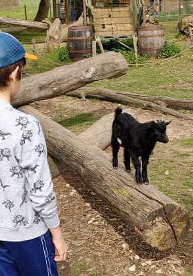 Photo 14 from Parrot World - Le parc animalier immersif